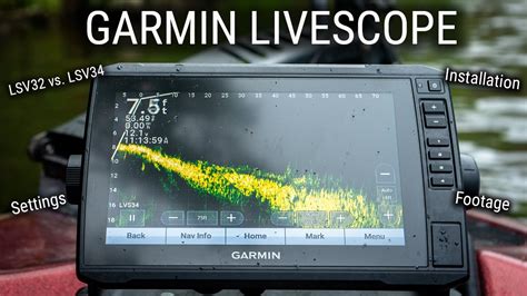 lv 34 livescope
